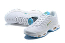 AIR MAX TN 1 “Blue/White”